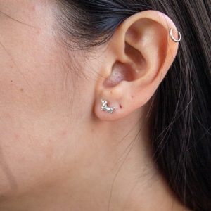 Aros Salchicha