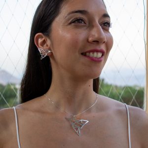 Conjunto Figura Colibri